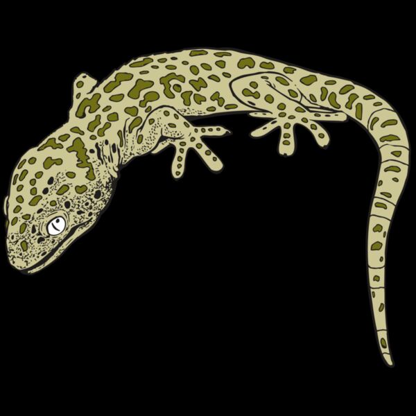 AR GEKO 19 RC Thumbnail