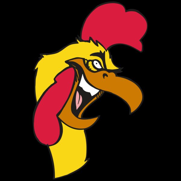 AR5 Gamecock 08 RQC Thumbnail