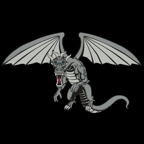 BAW DRAGON 04 RC Thumbnail