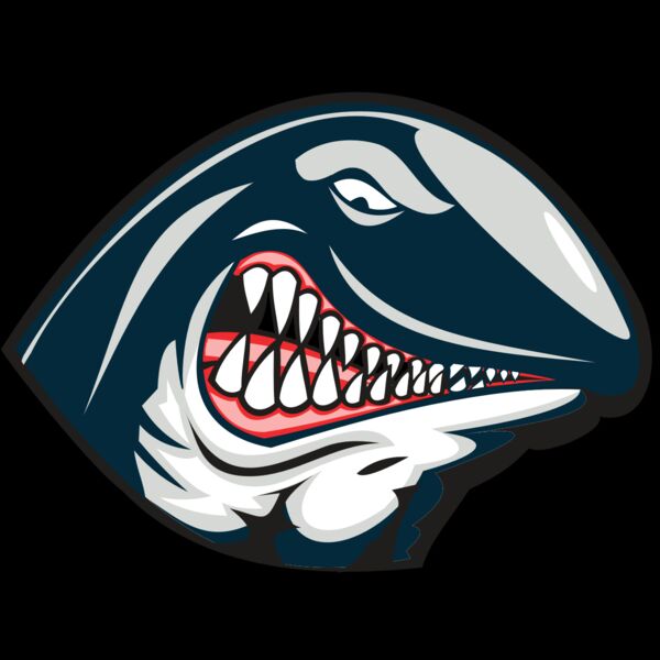 WHALE HD0501 RQC Thumbnail