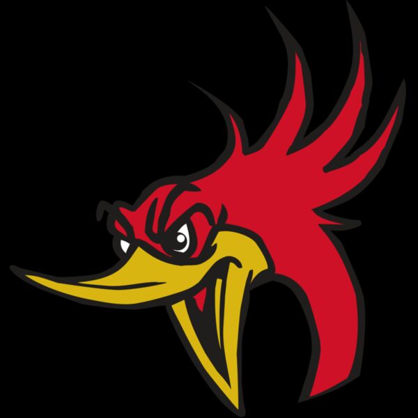 AR31 ROADRUNNER 02 RQC Thumbnail