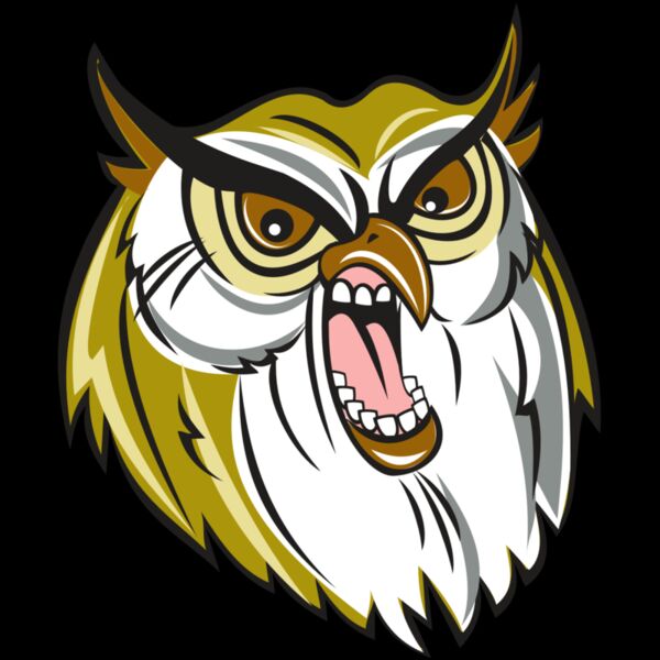 OWL HD0501 RQC Thumbnail