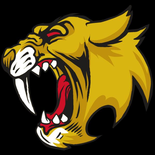 AR30 SABER 04 RQC Thumbnail