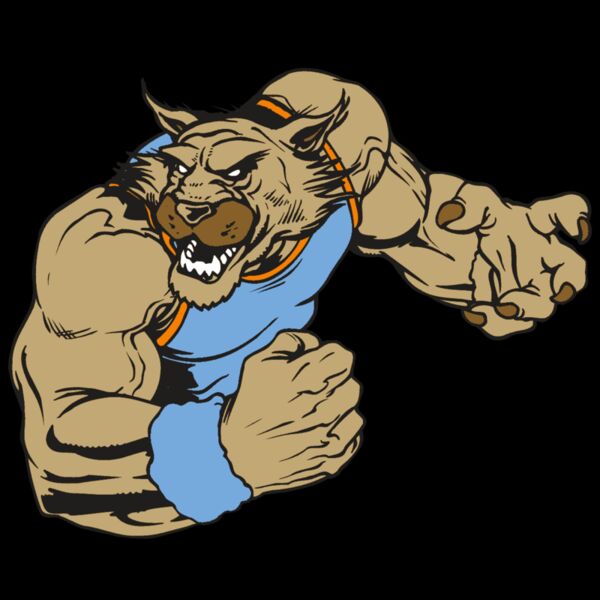 AR WILDCAT 46 RC Thumbnail